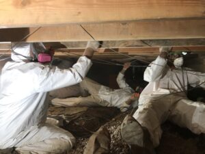 Mold Damage Restoration techs working at job site